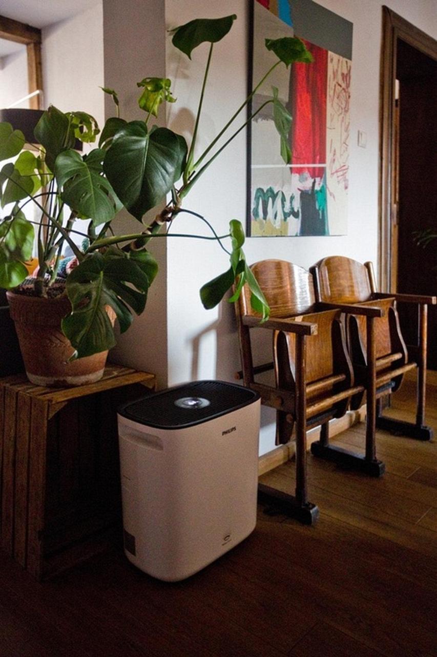 Leveloft - Przestronny, Stylowy Na Zielonej Ulicy W Centrum Apartmán