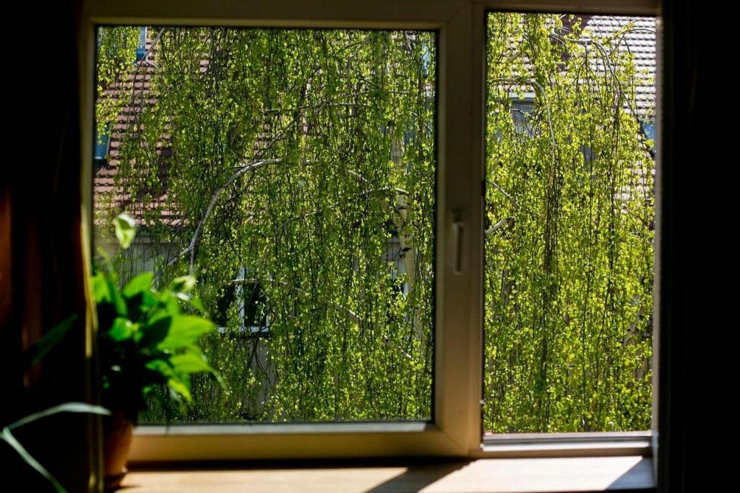 Leveloft - Przestronny, Stylowy Na Zielonej Ulicy W Centrum Breslavia